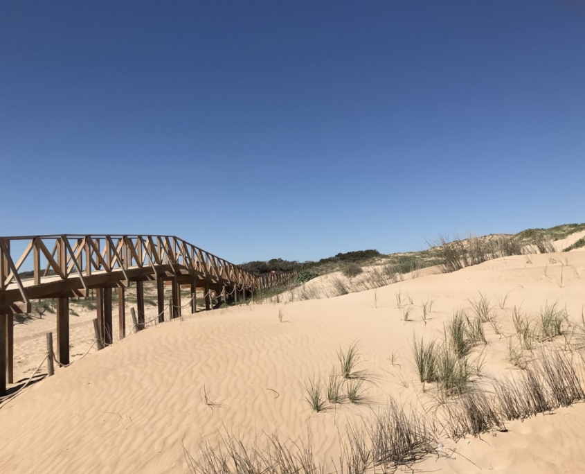 Unser Ferienhaus Der Naturstrand von Guadamar